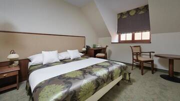 Фото номера Двухместный номер Делюкс с 1 кроватью Отель Hotel Poledno г. Poledno 5